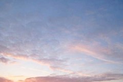 iTonksPhoto011