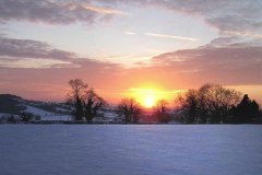 iTonksPhoto043